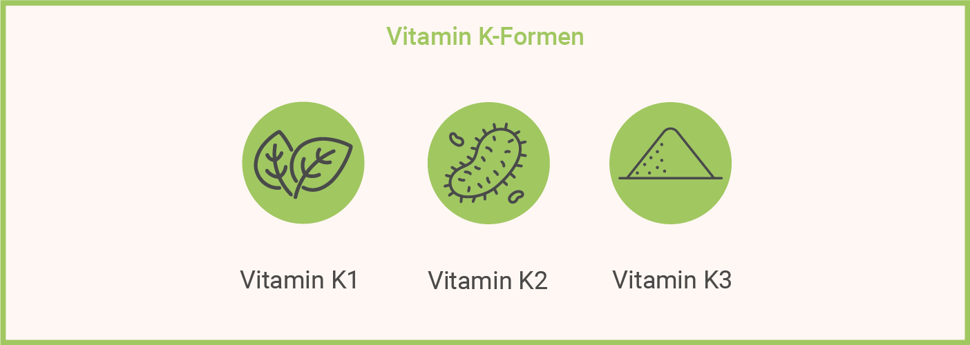 Infografik: Vitamin K-Formen